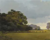 Padraig Lynch, BRANNIGAN'S FIELD