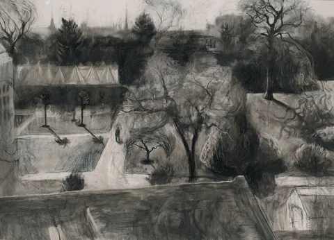 Sarah Longley, THE BOTANICAL GARDENS, 2000, charcoal with pencil and wash on card