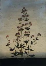 Michael Canning, ANNO