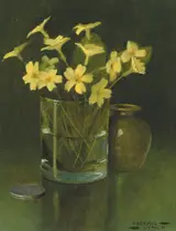 Padraig Lynch, PRIMROSES