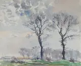 Tom Nisbet, WINTER TREES
