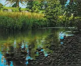 Eugene Conway, RIVER NORE, KILKENNY