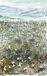 Patrick Swift, COTTON BOG, WICKLOW