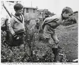 John Minihan, CHILDREN PLAYING OUTSIDE THE BACK OF PLOUGHMAN'S TERRACE, ATHY, COUNTY KILDARE