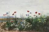 Andrew Nicholl, WILD FLOWERS WITH VIEW OF DOE CASTLE BEYOND