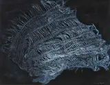 Anne Yeats, DISCARDED DISHCLOTH