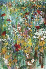 Kenneth Webb, UMBELLIFERAE