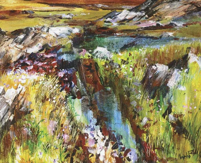 BOG CUT, NEAR CLIFDEN by Kenneth Webb, oil on canvas, sold Oct 2010