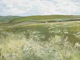 Simon Coleman, SPRINGTIME, SUMMER SERIES