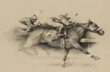 GOING TO THE WIRE, Whyte's 2010