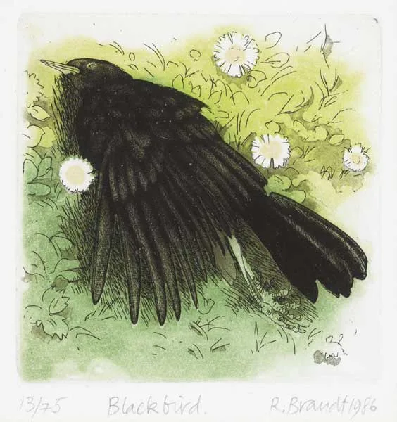 Ruth Brandt, BLACKBIRD, 1986, etching (no. 13 from an edition of 75)