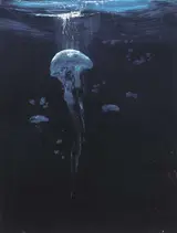 Jennifer Kingston, JELLYFISH