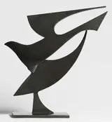 Conor Fallon, BIRD OF CAPRICORN
