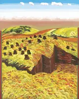 Brian Bourke, BOG SERIES