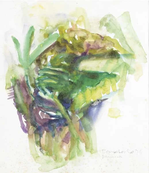 BANANA by Barrie Cooke, 1976, watercolour over pencil, sold May 2010