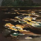 Barrie Cooke, DARK LAKE SURFACE