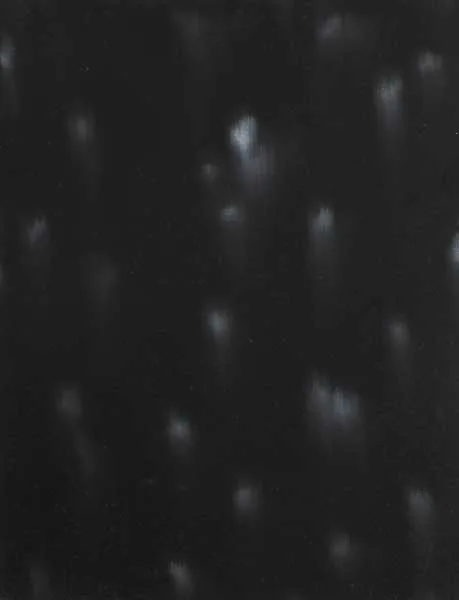 Mark Francis, SMALL POSITIVE, oil on canvas