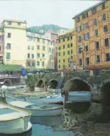 Cecil Maguire, PORTO DI CAMOGLIE, LIGURIA, ITALY