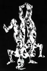 Alice Maher, LOVERS