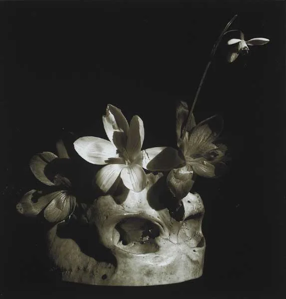 STILL LIFE WITH SPRING FLOWERS by Stuart Morle, 2004, silver gelatin print (artist's proof), offered Nov 2009