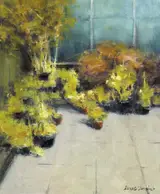James English, PLANTS ON A PATIO