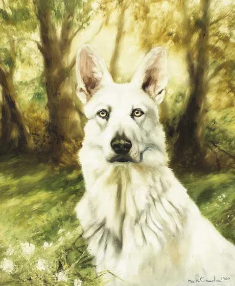Mick Cawston, WHITE GERMAN SHEPHERD, 1987, oil on canvas