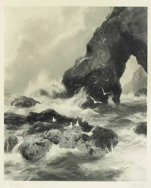 SEAGULLS ON THE CLIFFS by Peter Graham, engraving, offered Nov 2009