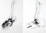 Barrie Cooke, BONE DRAWING NO. 50 and NO. 52