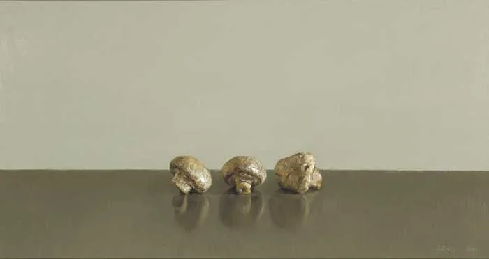 THREE MUSHROOMS by Comhghall Casey, 2001, oil on linen, sold May 2009