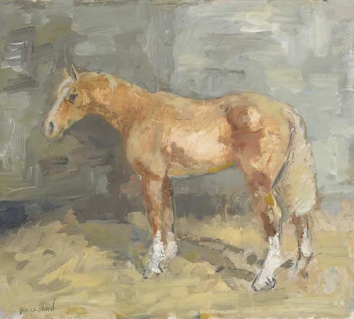 A CHESTNUT COB by Basil Blackshaw, oil on board, sold May 2009