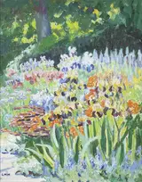 IRISES AND LUPINS, Whyte's 2009