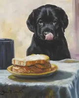 John Trickett, BACON SANDWICH