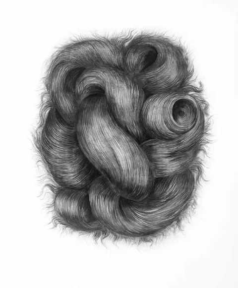 Alice Maher, COMA BERENICES, 1999, charcoal on paper