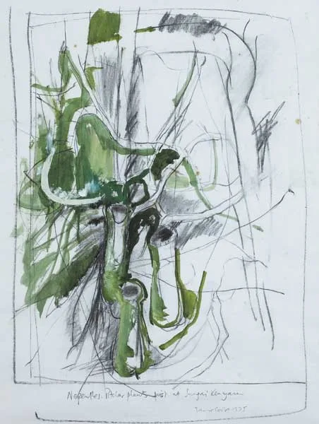 PITCHER PLANT by Barrie Cooke, 1975, charcoal, collage and oil on paper, sold Mar 2009