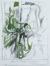 PITCHER PLANT, Whyte's 2009
