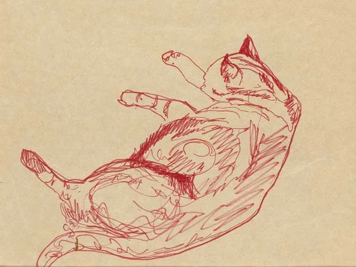 SLEEPING CAT by Gerard Dillon, pen on paper, sold Mar 2009