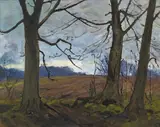 Hans Iten, BELVOIR PARK, BELFAST