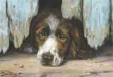 John Trickett, UNDERDOG