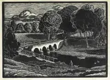 John Luke, SHAW'S BRIDGE