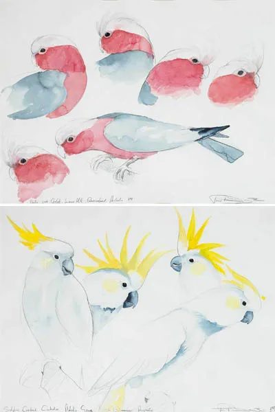 Philip Blythe, WALLY-PINK GALAH, LAWN HILL, QUEENSLAND, AUSTRALIA, 1989 and SULPHUR CRESTED COCKATOO, ADEL'S GROVE, pencil and watercolour on paper