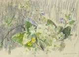 Phoebe Donovan, PRIMROSES
