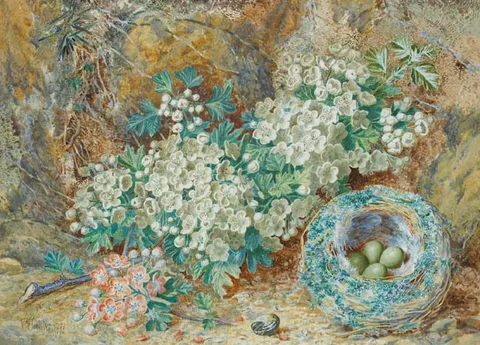 Thomas Frederick Collier, BIRDS NEST AND WILD FLOWERS, 1879, watercolour heightened with white