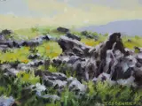 Trevor Geoghegan, SADDLESTONE, NEAR LISDOONVARNA, COUNTY CLARE