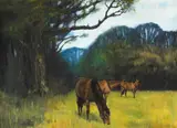 James English, SHELTERED PASTURES