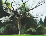 Sarah Longley, CHERRY BLOSSOM