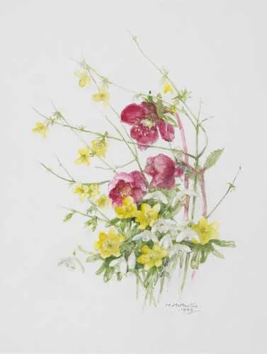 Mary McMurtrie, WILD FLOWERS, 1994, watercolour