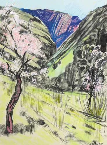 Jacqueline Stanley, WILD ALMOND IN VALLEY, circa 1995, pastel on Somerset paper