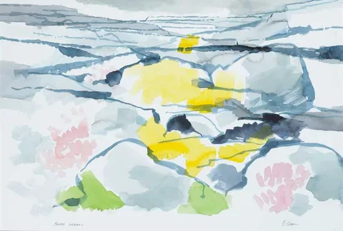 Liam ó Broin, BURREN, LICHEN, watercolour