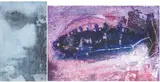 Ross Wilson, GET JONAH and ST ALBAN'S JONAH FISH, 1991 (A PAIR)