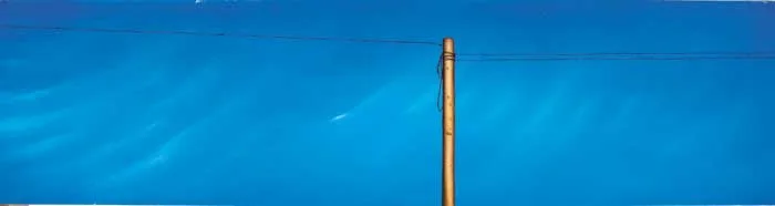 BLUE SKY AND TELEGRAPH POLE by Edel Campbell, 2002, oil on canvas, sold May 2008